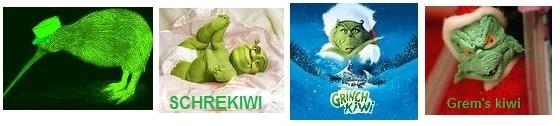 Kiwi évolution