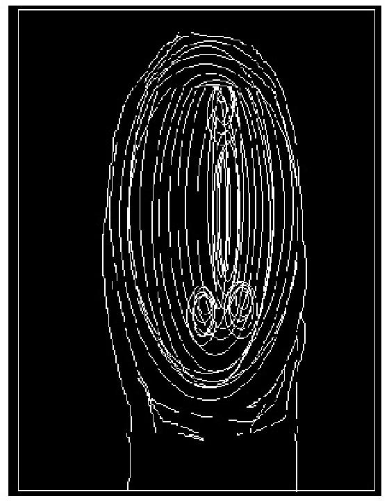 empreinte "génitale"