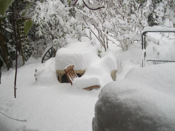neige , aujourd' hui ! neige , aujourd' hui !