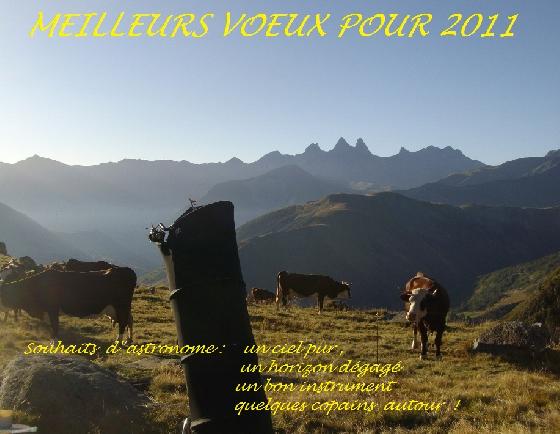 voeux
