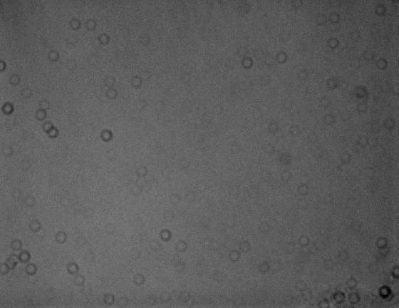 M97 (flat à la DSI pro2 pour M97)