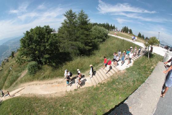 lac1 lac1
