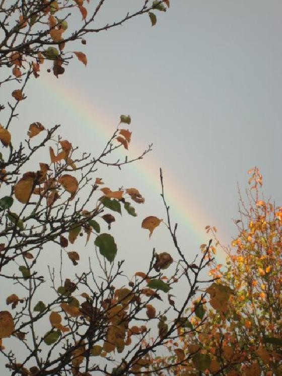 Over the rainbow Over the rainbow