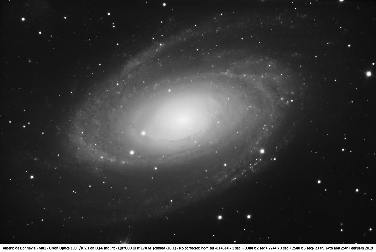 M81-T300-monochrome M81-T300-monochrome