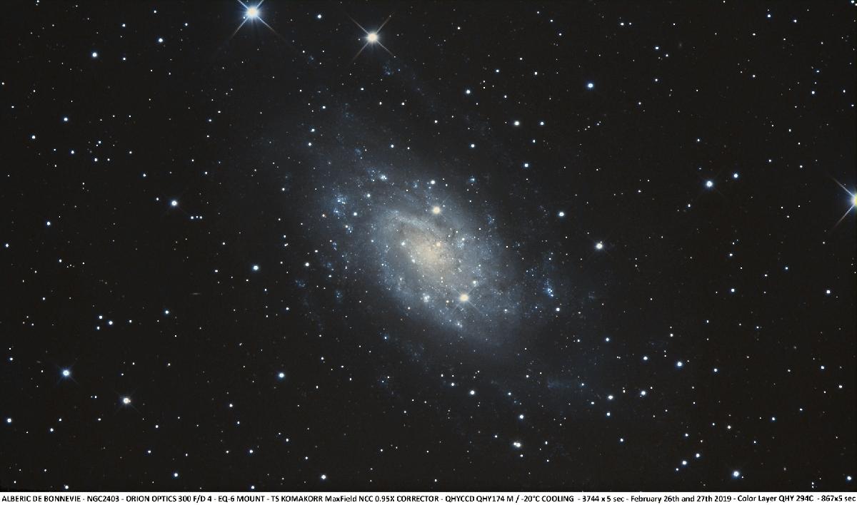 NGC2403 T300 - colorisée QHY 294 NGC2403 T300 - colorisée QHY 294