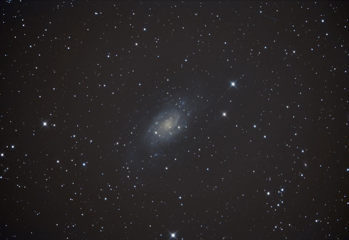 NGC2403-T300F/D 4 - QHY294C NGC2403-T300F/D 4 - QHY294C