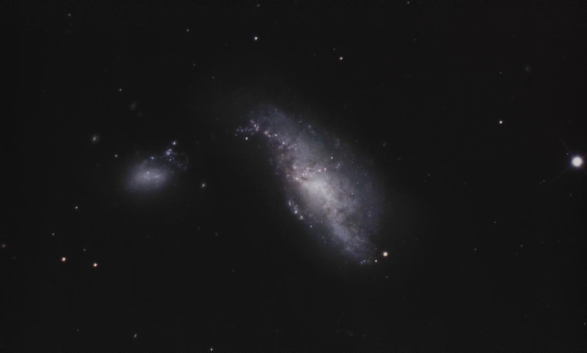 NGC4490-T300-colorisée NGC4490-T300-colorisée