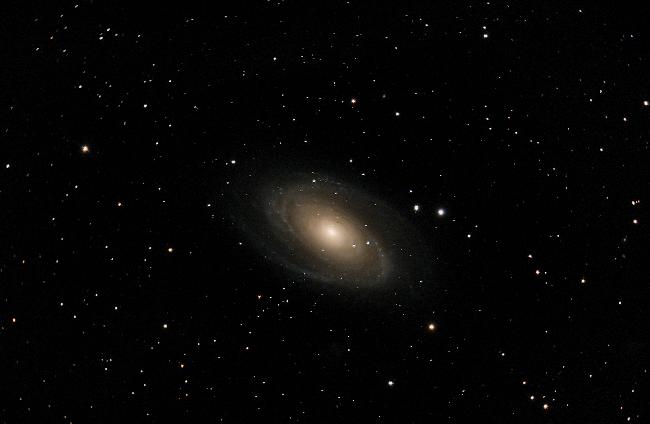 M81