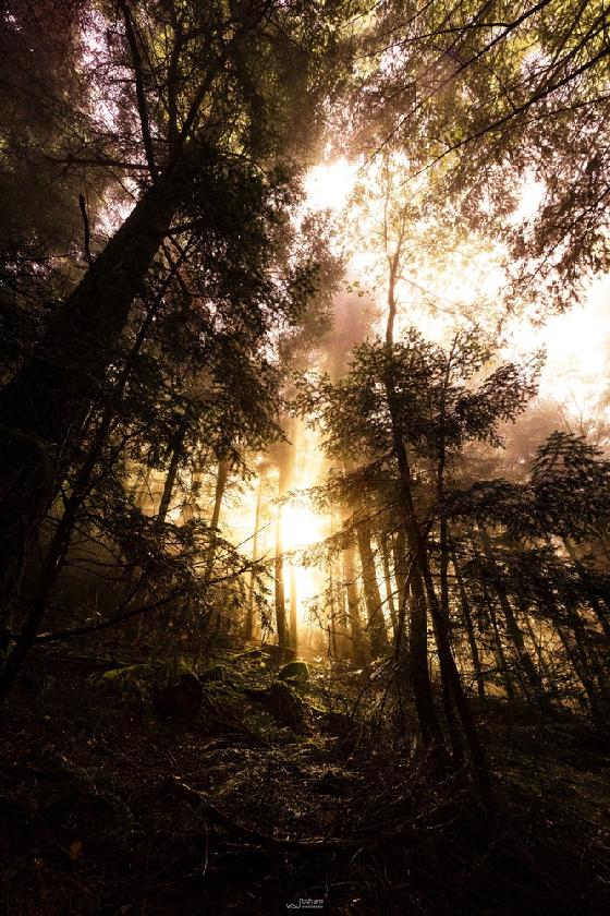 Boitier hybride Sigma FP et Objectif Sigma 14mm f 1.8 ART DG