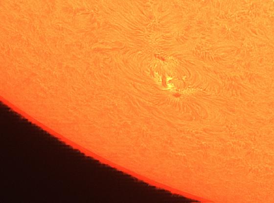 Filtre Ha Daystar Quark Combo