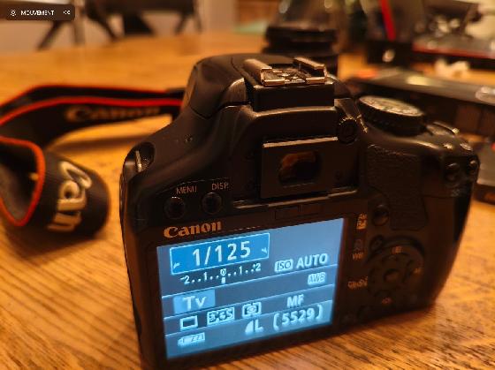 CANON EOS 450 défiltré partiel + EFS 18-55 IS II + Accessoires 
