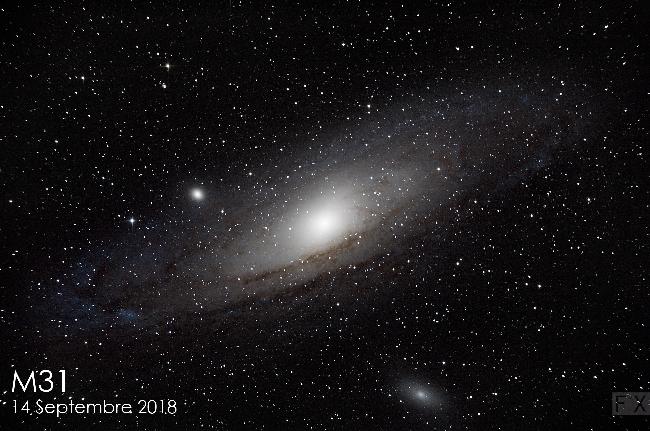 M31