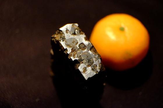 echange/vends météorite Pallasite Brahin 193 Gr