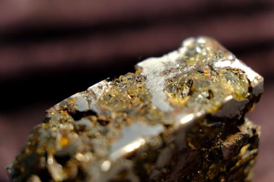 echange/vends météorite Pallasite Brahin 193 Gr