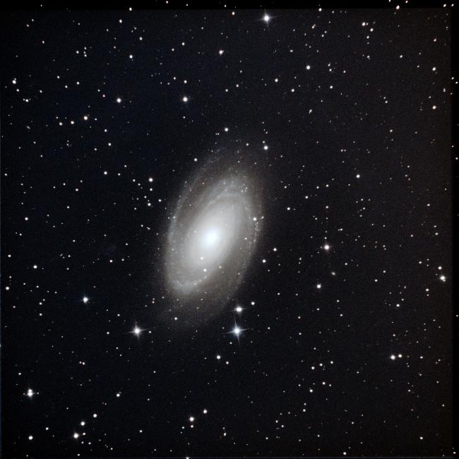 M81