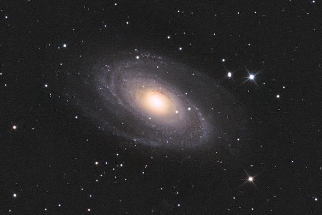 M81