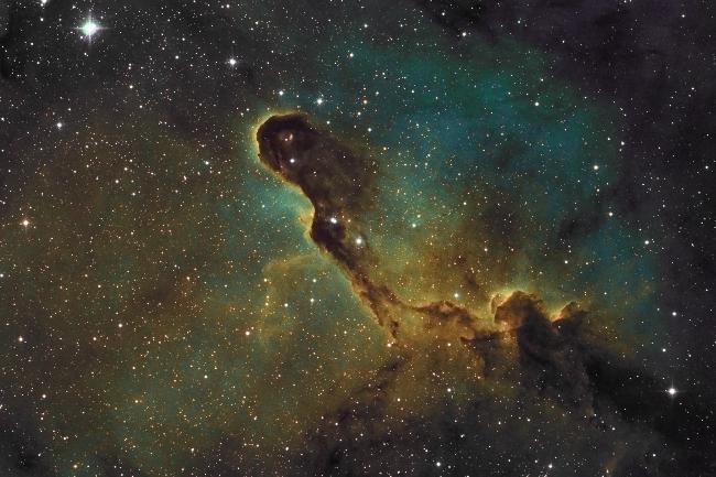 Elephant Trunk Nebula
