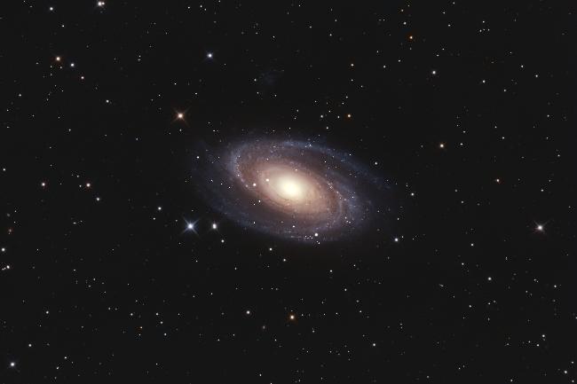 M81