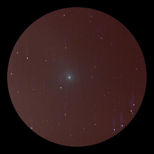 comète C/2018 Y1 Iwamoto