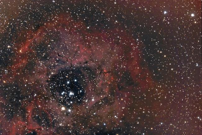 rosette nébula ngc 2238