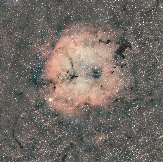 IC1396