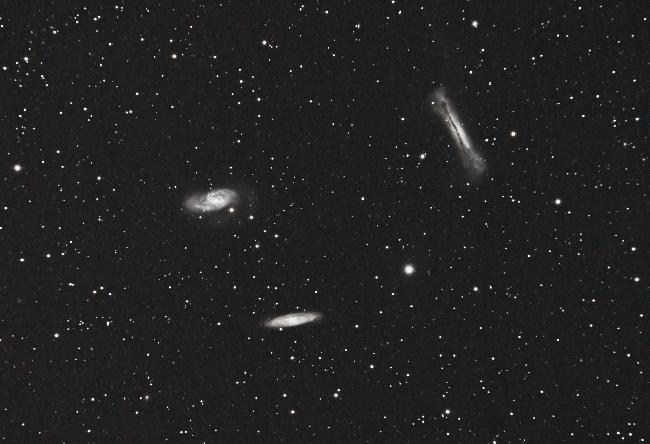 Trio Lion Canon EOS1100D