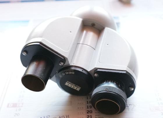 Tête binoculaire Zeiss
