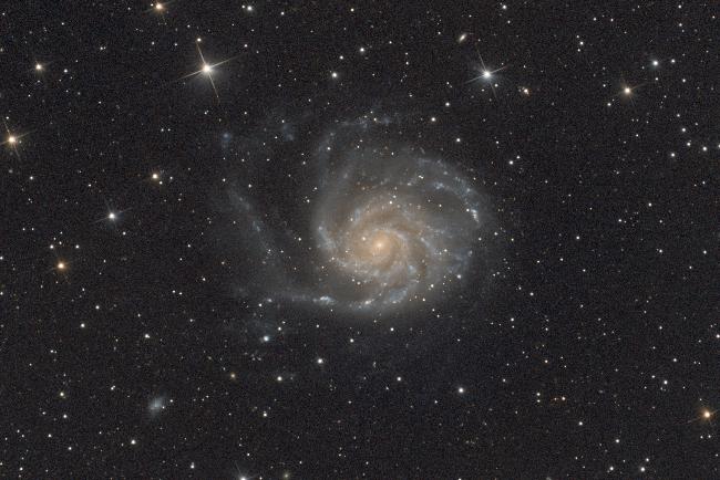 M101