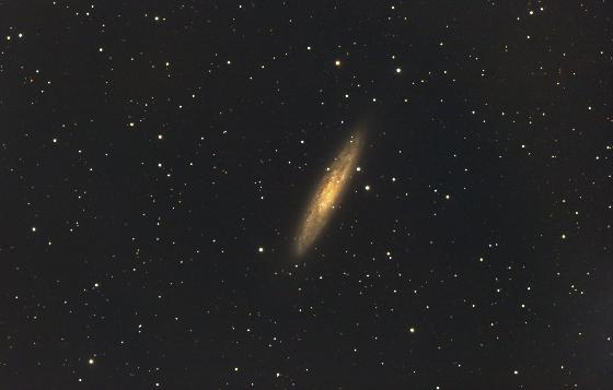 La galaxie du Dollar d'Argent