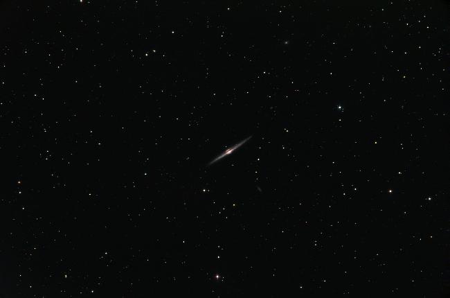 NGC 4565