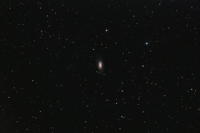 NGC 2903
