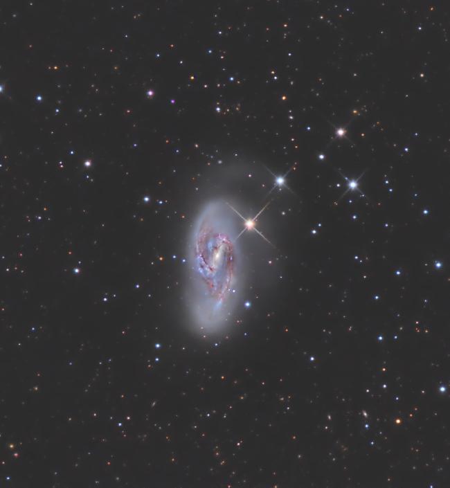 M66