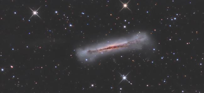 NGC3628