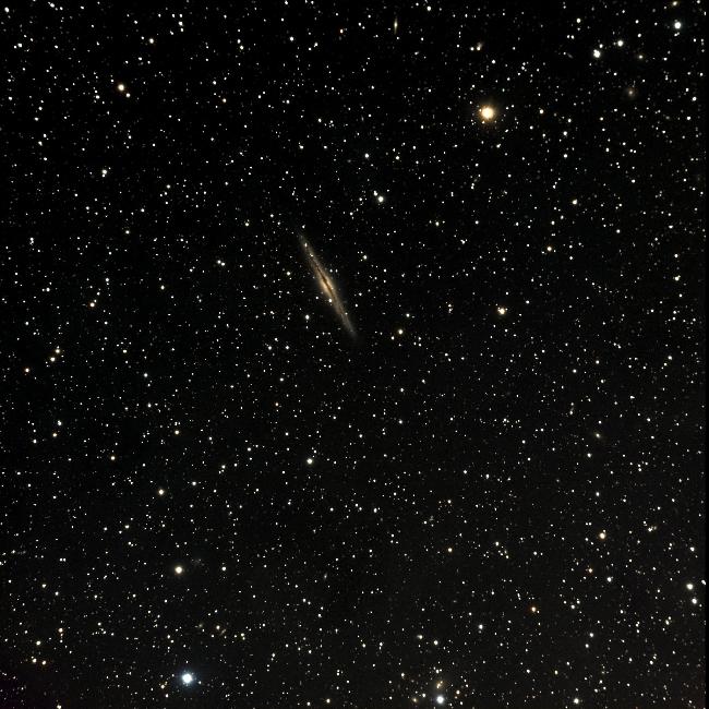 NGC 891