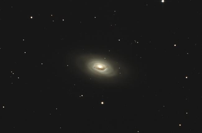 M64