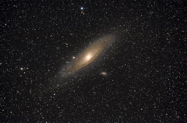 M31