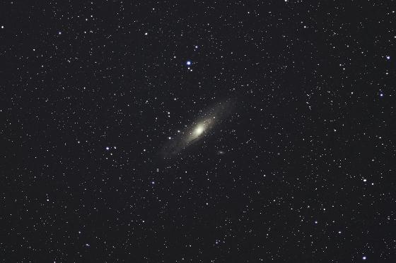 M 31