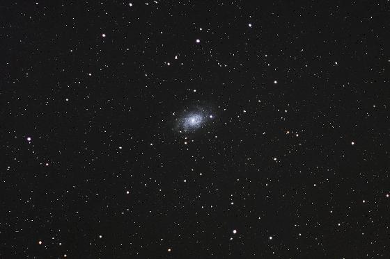 M 33