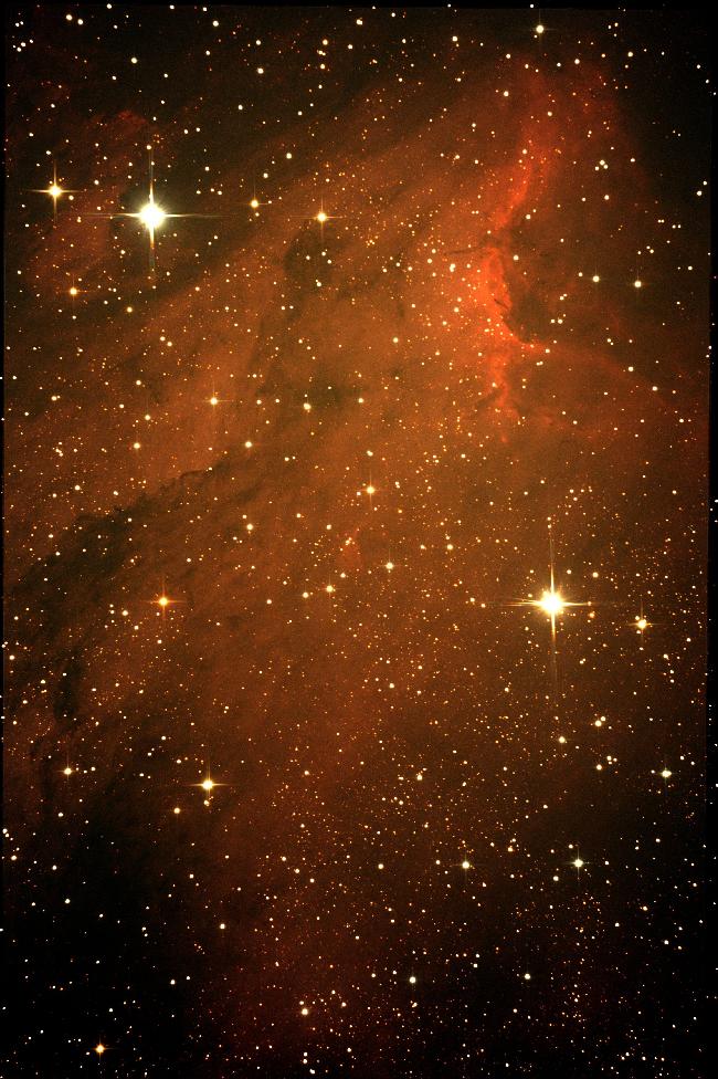La nébuleuse à émission IC5067 dite "Le pélican" dans la constellation du Cygne