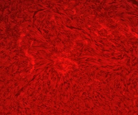 DERNIÈRE BAISSE DE PRIX ! Lunette solaire Lunt LS100THa B1800 