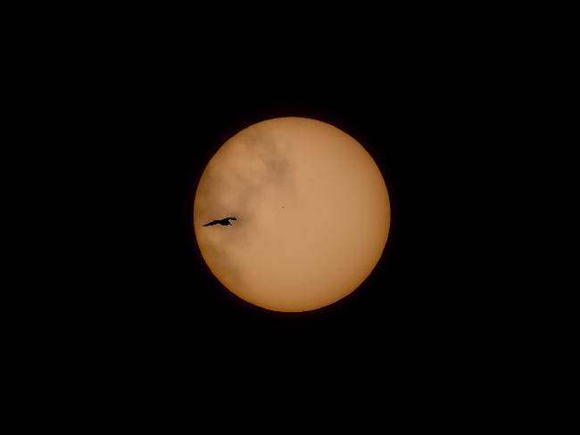 Transit de Mercure à Etretat 3