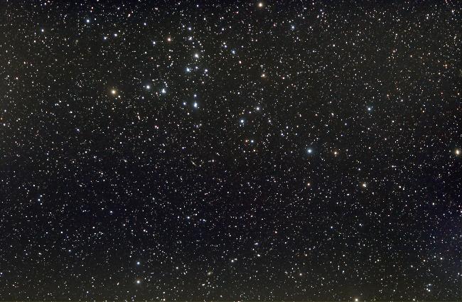 Une brillante et dense Chevelure !