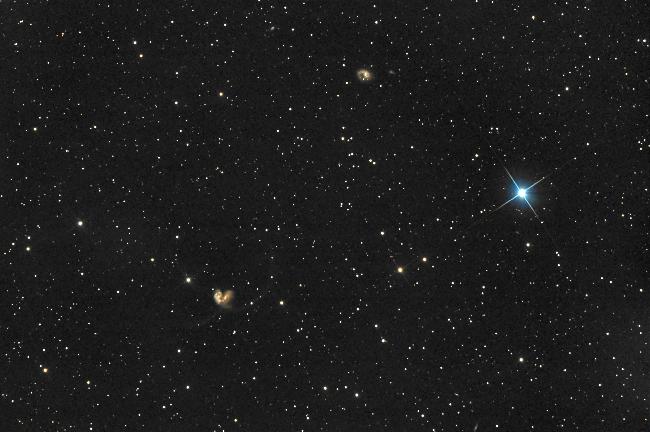 Les Antennes et le Crabe violoniste 