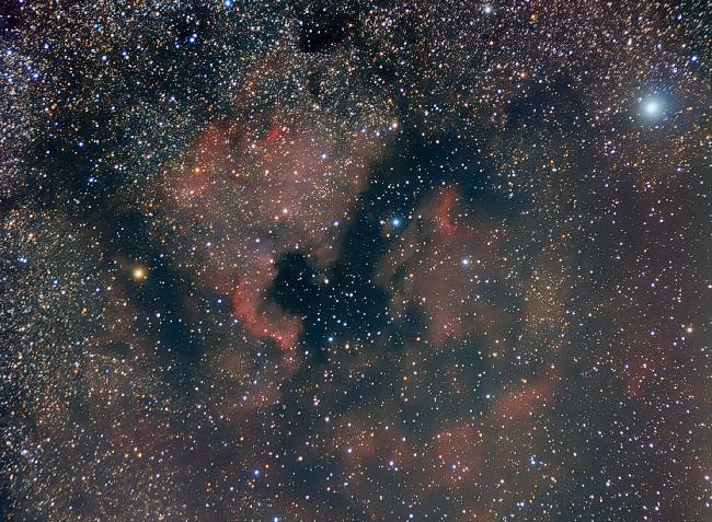 Un demi continent et un oiseau aquatique dans le ciel d’Allons