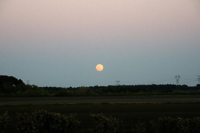 Pleine Lune rose 16 04 2022 - 2