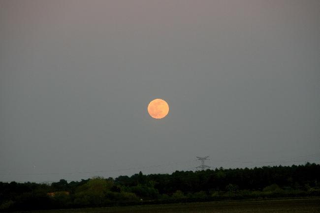 Pleine Lune rose 16 04 2022 - 3