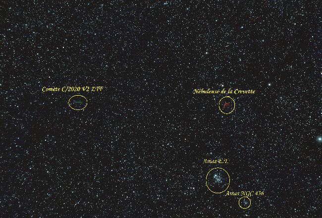 Comète C/2020 V2 ZTF (étoiles) annotée