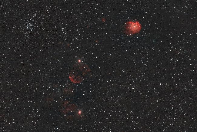 Grand champ dans le pied de Castor