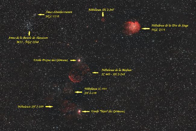 Grand champ dans le pied de Castor