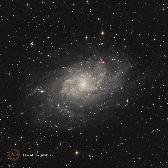 ensemble 533MM/RAF/OAG